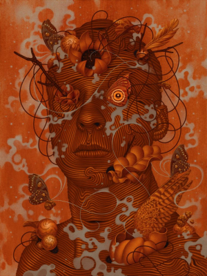 Comtemplations - Boris Pelcer