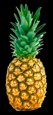 fruit pineapple