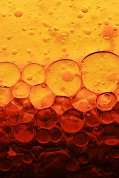 oil and water