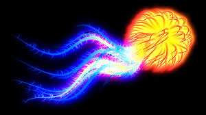 jellyfish on fire