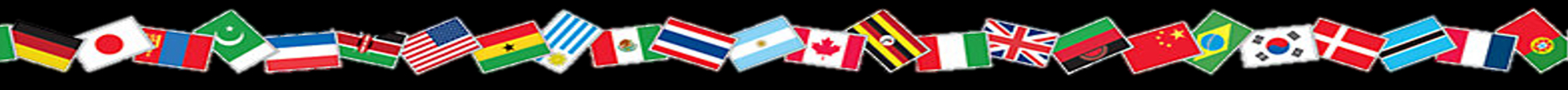 World Flags - Inverted