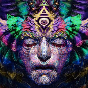 psychedelic tribe 2