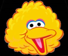 big bird a