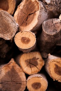 firewood 2 of 3