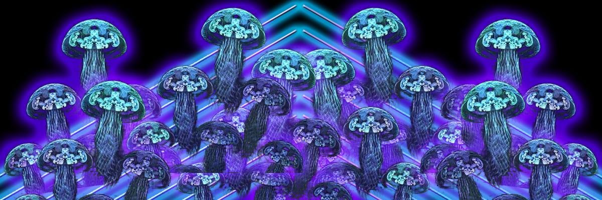 Electric Jelly Orchestra