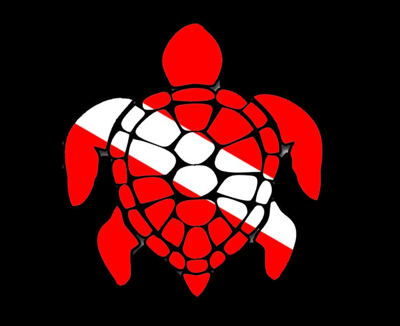 Dive  Turtle