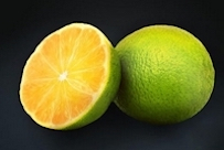 Lime
