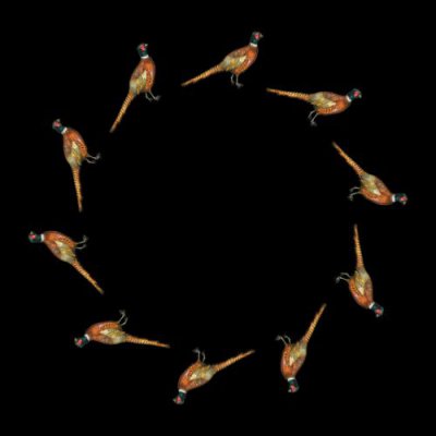 bayant round preview