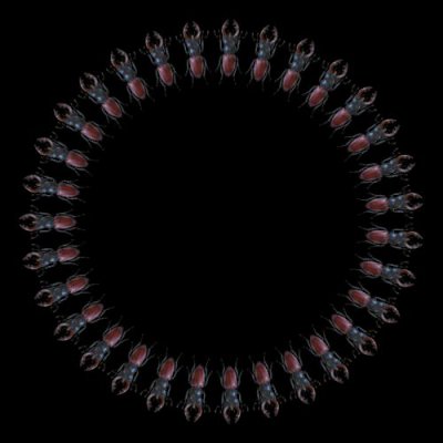 rohaci round preview