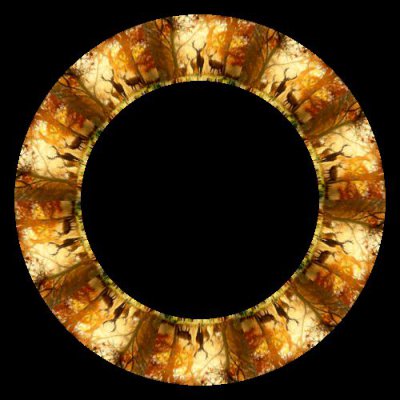 les jeleni round preview