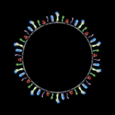 SPM53830f pixar round preview