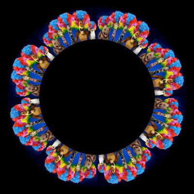 madagaskar round preview