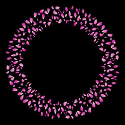 sakura fubuki round preview