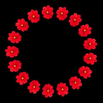 Mexican flores round preview