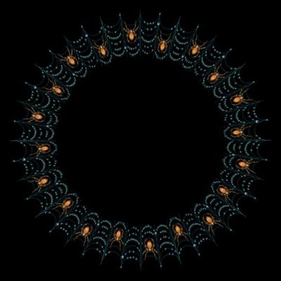 Spiders round preview