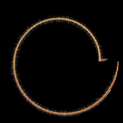 Fuse Burns In round preview