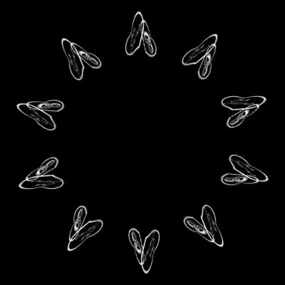 Justmaried  contorted round preview