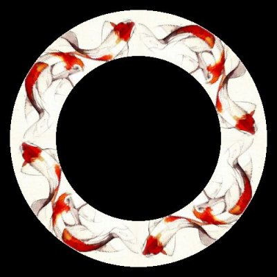 Koi carp round preview