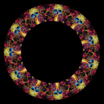 Paint splash skull round preview