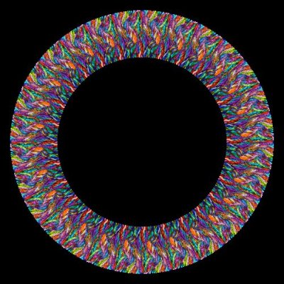 Rainbow fish scales round preview