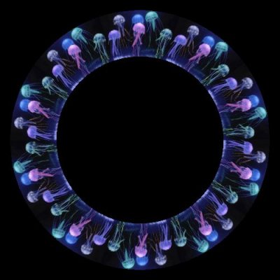 Rainbow jellies round preview