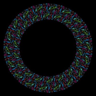 confetti round preview