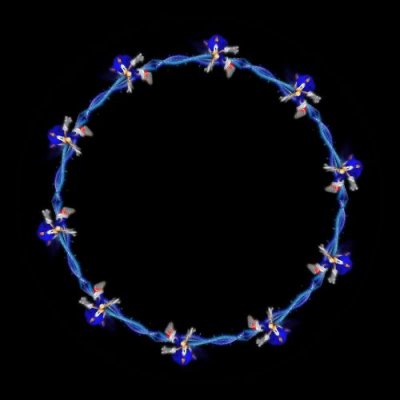 sonic 7 round preview