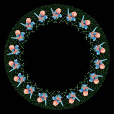 porgon round preview