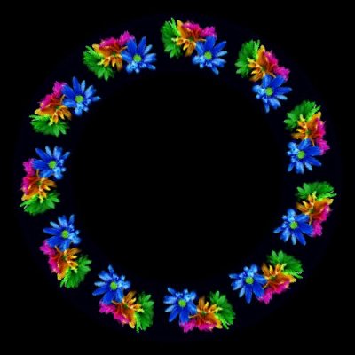 amazing flowers round preview