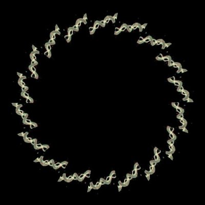 tumblr oryp1yTLaf1ug7svjo1 500 round preview