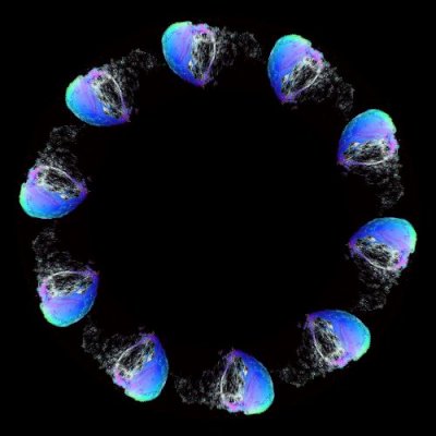 1406498515589727 round preview