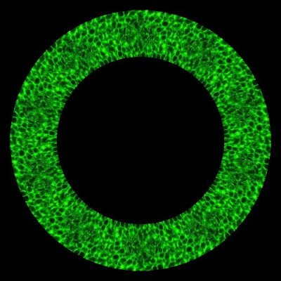 Green Plasma round preview