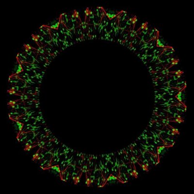 Brain Activity 2 round preview