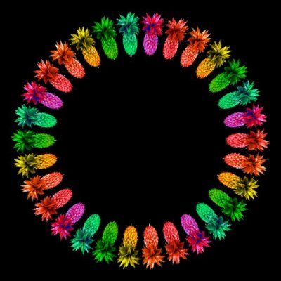 Rainbow Pineapple round preview