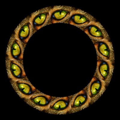 28706 fractal fractal animal eye   Copy round preview