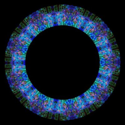 fractulite round preview