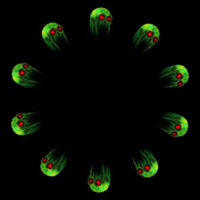 Bump in the night round preview