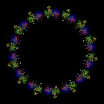 Trees or neurons round preview