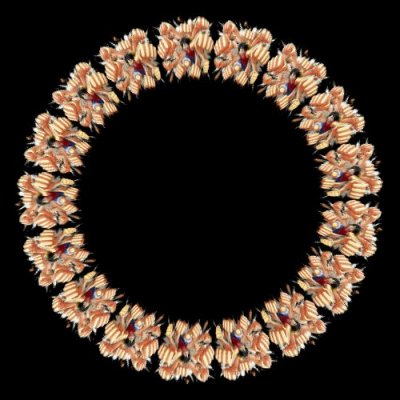 ONE PIECE round preview