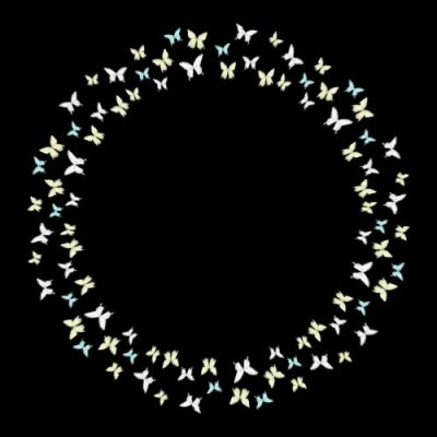 butterfly round preview