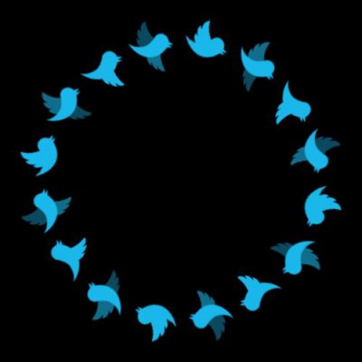 twitter bird round preview