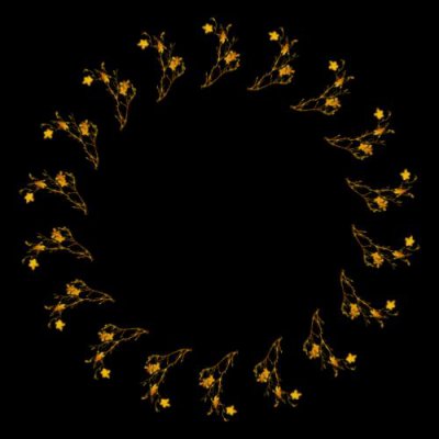 flower round preview