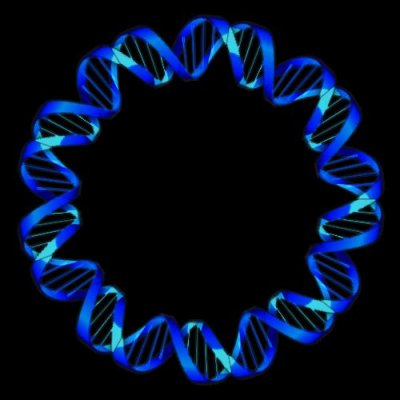 fineSeufzer DNAchain round preview