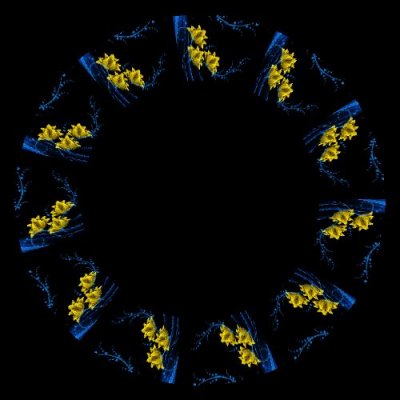 This pattern came out really well round preview