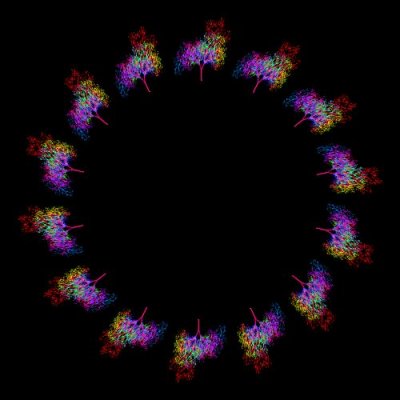 Neuron Tree round preview