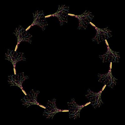 Sprouting roots round preview