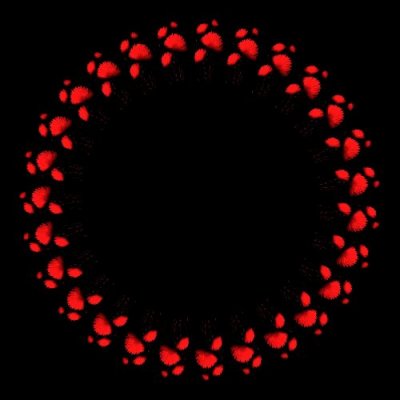 High Def flowers round preview