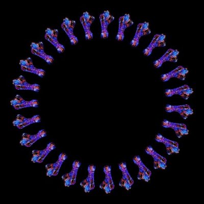 The universe body painting round preview