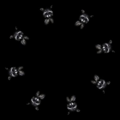 My spirit animal round preview