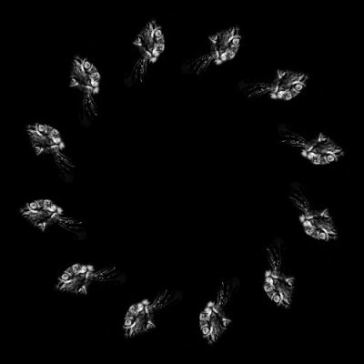 Here kitty kitty round preview